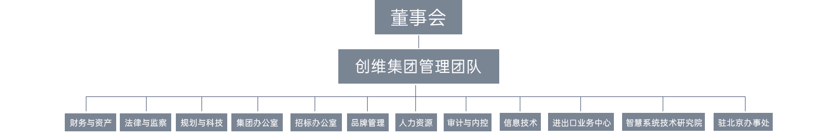 公司架构 - 德赢vwin集团 - 凝聚康健科技！